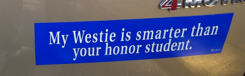 westy honor student bumper sticker